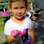 phoca_thumb_m_motlci na zmrzlin 4 Fotogalerie